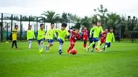 《钟义浩深情致歉：初遇河南球迷热情盛况，内心万分感慨！》