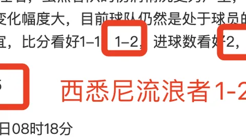 澳网第五日赛程公布：张帅、王曦雨、王雅繁争逐32强席位，央视新闻客户端同步直播